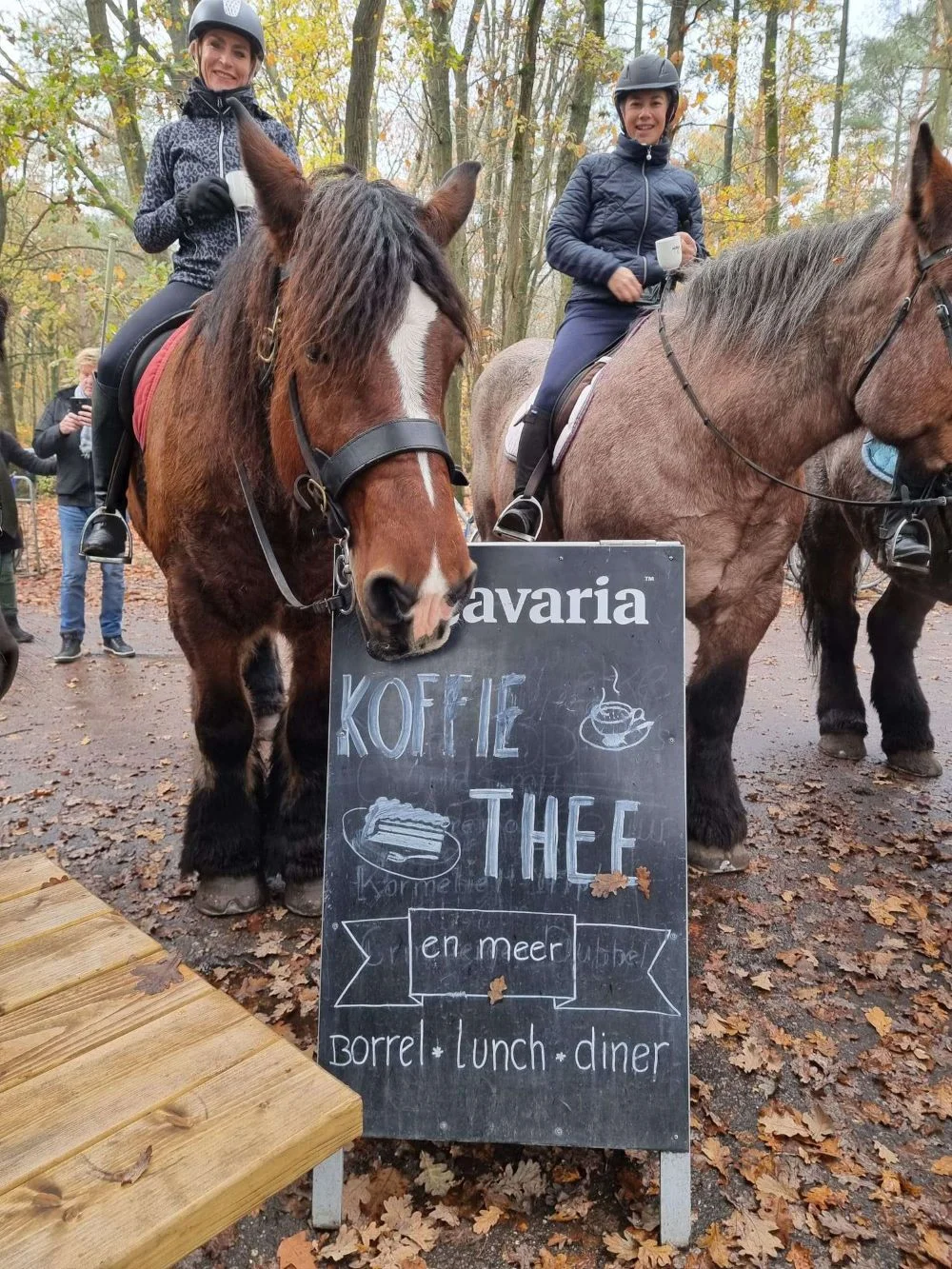 Zonlicht tussen de bomen langs een bospad